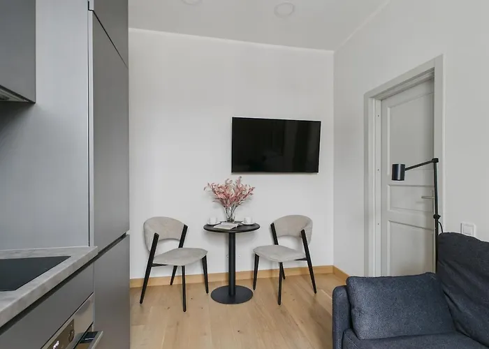 1br Centre Apartment, With Bath & Desk Riga